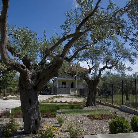 Olivegrove House Apartment Vourvourou Exterior photo